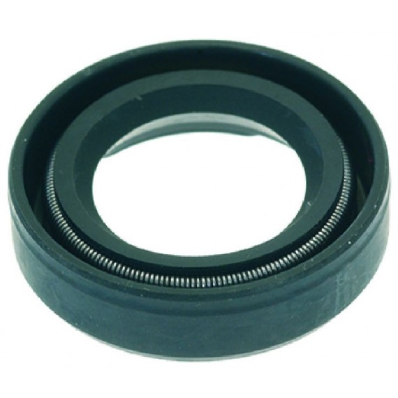 ANELLO DI TENUTA 15x25x6,34 mm