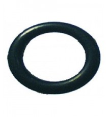 GUARNIZIONE ORM 0120-25 EPDM