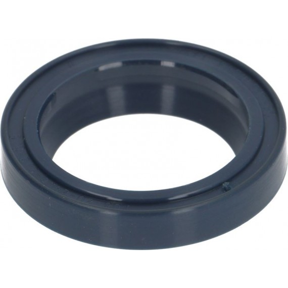 ANELLO RASCHIATORE Diam. 20x28x6,5 mm