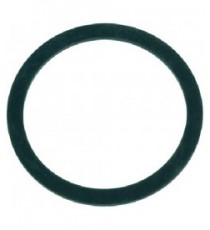 GUARNIZIONE PIANA EPDM Diam. 71x59x2 mm