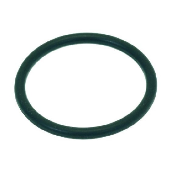 GUARNIZIONE ORM 0210-20 EPDM