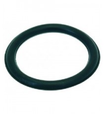 GUARNIZIONE ORM 0460-60 EPDM