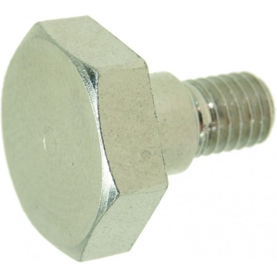 VITE A TESTA ESAGONALE M5x6