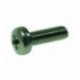 VITE A TESTA CILINDRICA M3x10