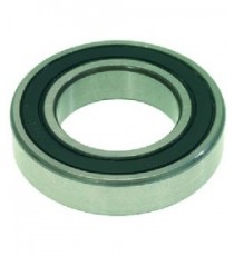 CUSCINETTO 6007 DDUCM NSK
