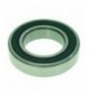 CUSCINETTO 6007 DDUCM NSK