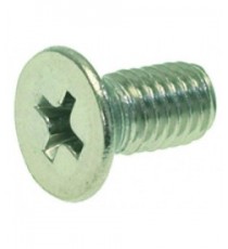 VITE A TESTA SVASATA PIANA M5x10