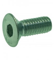 VITE A TESTA SVASATA PIANA M6x16