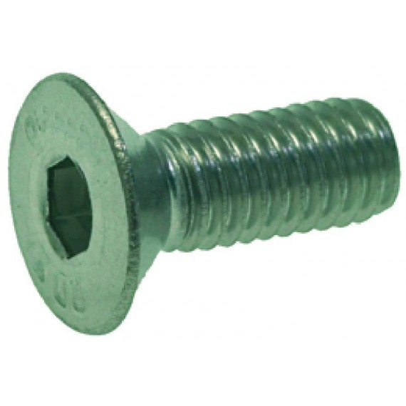 VITE A TESTA SVASATA PIANA M6x16