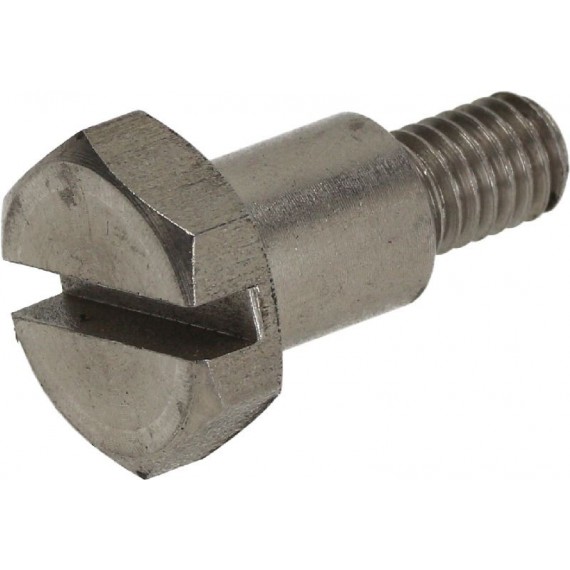 VITE A TESTA ESAGONALE M6x8