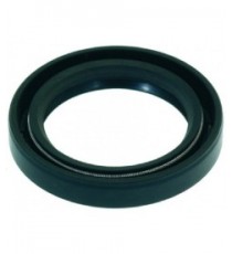 ANELLO DI TENUTA 30x42x7 mm