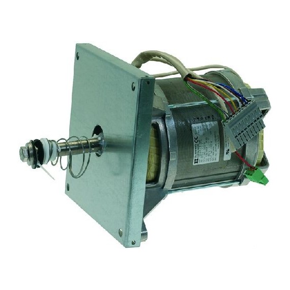 MOTORE HANNING L9ZW84D-586
