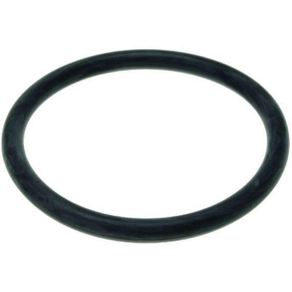 GUARNIZIONE ORM Diam. 5x54 mm