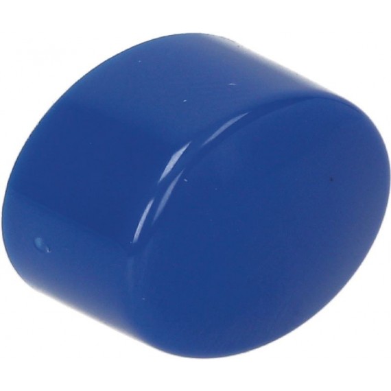 TASTO ELLITTICO 17x13 mm BLU