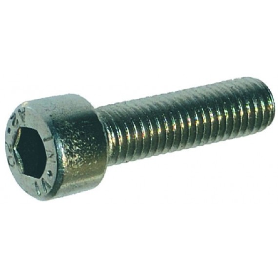 VITE A TESTA CILINDRICA M8x30