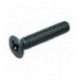 VITE A TESTA SVASATA PIANA M6x25