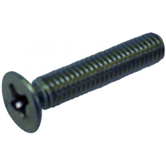 VITE A TESTA SVASATA PIANA M6x25