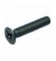 VITE A TESTA SVASATA PIANA M6x25