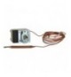 TERMOSTATO MONOFASE 30-110C