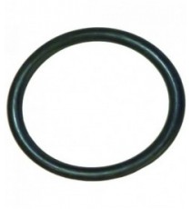 GUARNIZIONE ORM 0270-30 EPDM