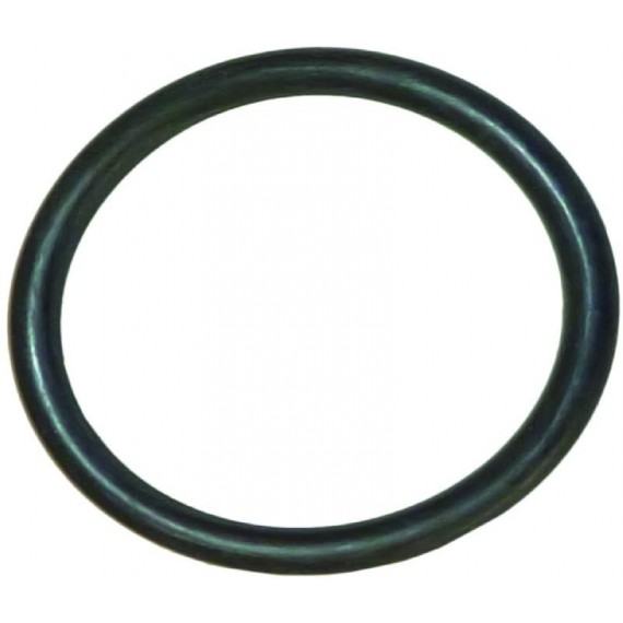 GUARNIZIONE ORM 0270-30 EPDM