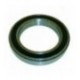 CUSCINETTO 6020 2RS