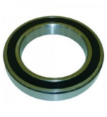 CUSCINETTO 6020 2RS