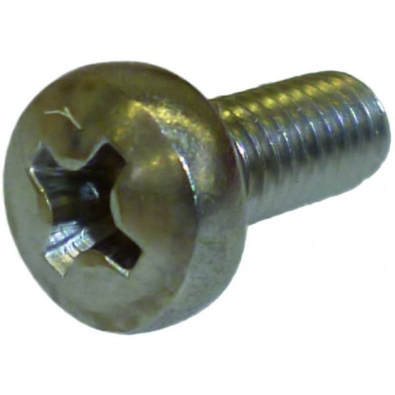 VITE A TESTA CILINDRICA M4x10