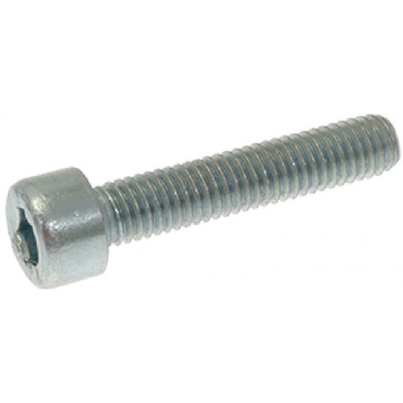 VITE A TESTA CILINDRICA M5x25