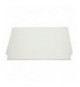 VETRO INTERNO PORTA FORNO 540x417 mm