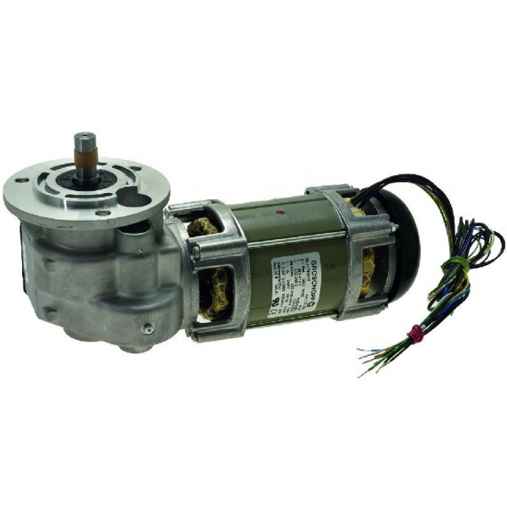 MOTORIDUTTORE WK1781902 0,020Kw