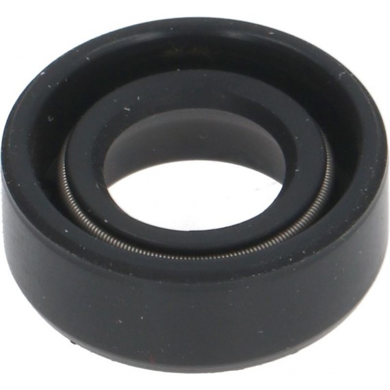 ANELLO DI TENUTA 19x10x7 mm