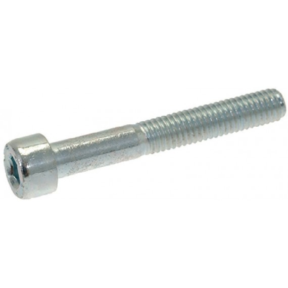 VITE A TESTA CILINDRICA M5x35