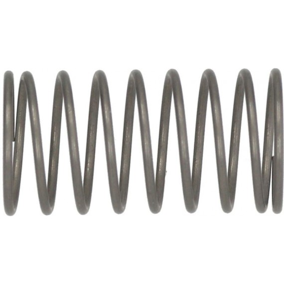 MOLLA INOX Diam. 10x19 mm