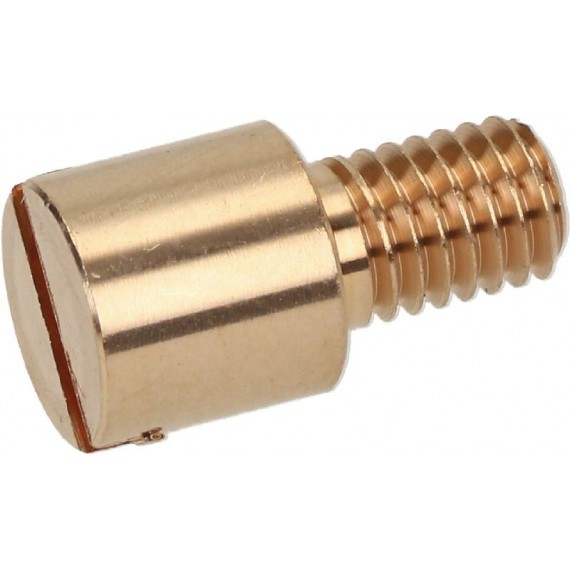 PERNO PER CERNIERA M5x15 mm