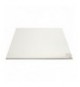 VETRO INTERNO PORTA FORNO 743x620 mm