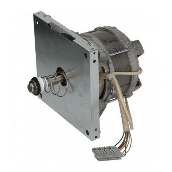 MOTORE HANNING L9FW4D-605