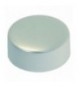 TASTO ROTONDO SATINATO ARGENTO Diam. 21 mm