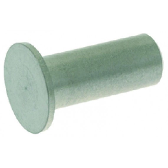 PERNO PER CERNIERA PORTA Diam. 6x16 mm