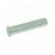 PERNO PER CERNIERA SPORTELLO Diam. 8x38 mm