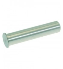 PERNO PER CERNIERA SPORTELLO Diam. 8x38 mm