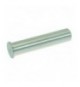 PERNO PER CERNIERA SPORTELLO Diam. 8x38 mm
