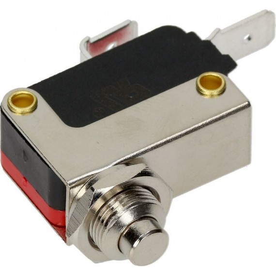 MICROINTERRUTTORE 10A 250V