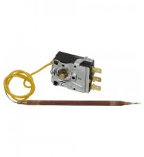 TERMOSTATO 0-95C ae24V