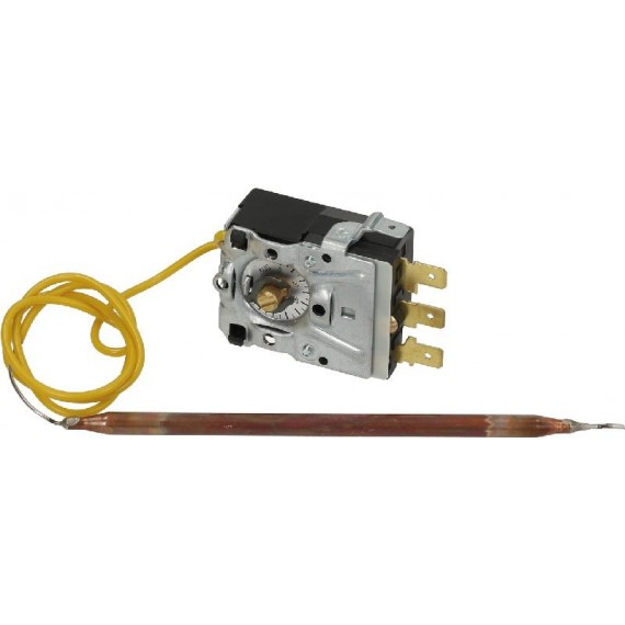 TERMOSTATO 0-95C ae24V