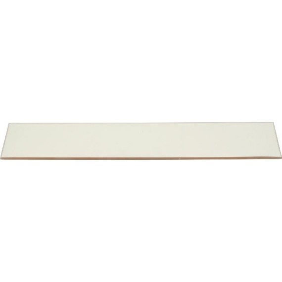 VETRO PER PORTA 415x108x4 mm