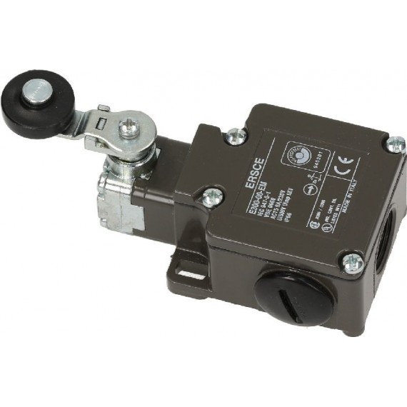 MICROINTERRUTTORE E300-00-EM 6A 230V