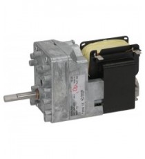 MOTORIDUTTORE 220V 50/60Hz