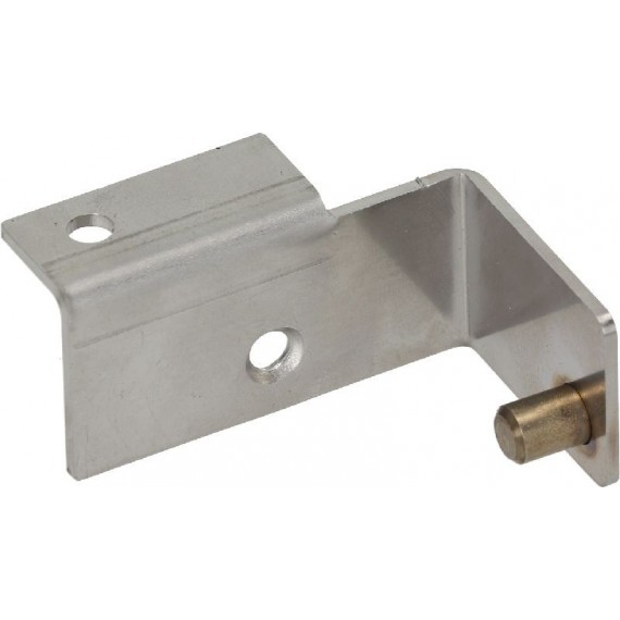 CERNIERA SX SUPERIORE PORTA