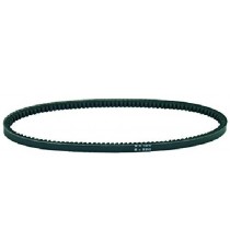 CINGHIA TRAPEZOIDALE 6x320 mm Y343